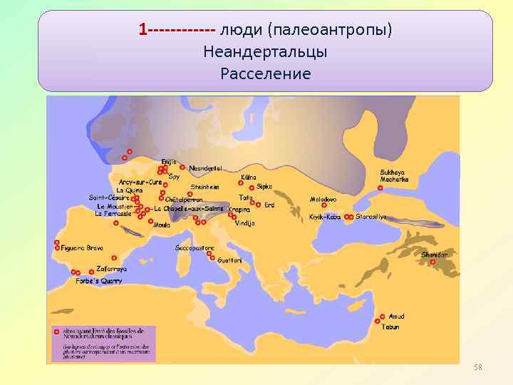 1 ------ люди (палеоантропы) Неандертальцы Расселение 58 