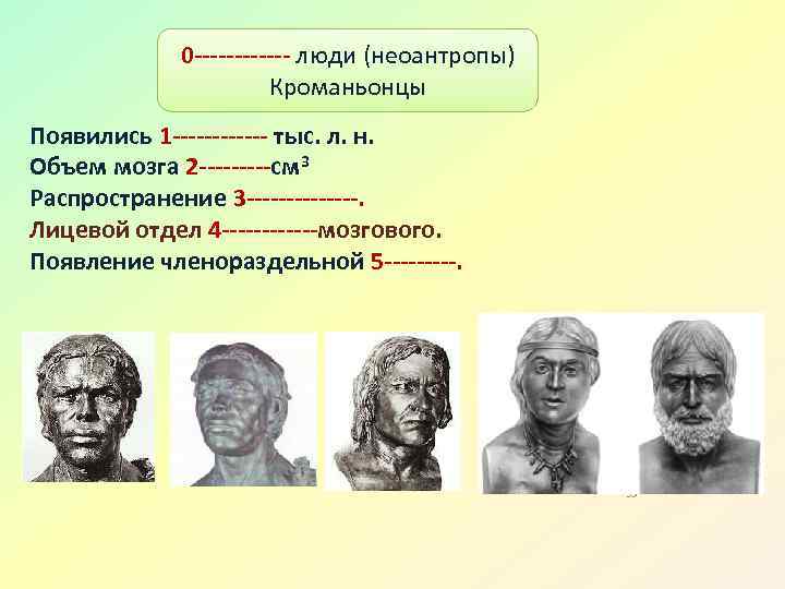 0 ------ люди (неоантропы) Кроманьонцы Появились 1 ------ тыс. л. н. Объем мозга 2