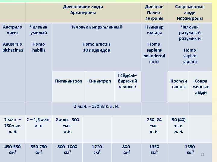 Древнейшие люди Архантропы Австрало питек Аaustralo pithecines Человек умелый Homo habilis Древние Палеоантропы Человек