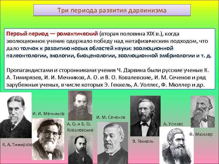 Три периода развития дарвинизма Первый период — романтический (вторая половина XIX в. ), когда