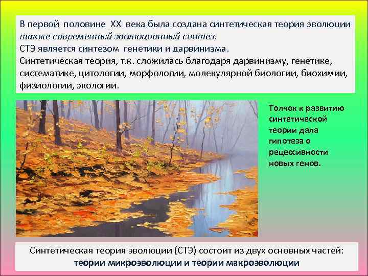 В первой половине ХХ века была создана синтетическая теория эволюции также современный эволюционный синтез.