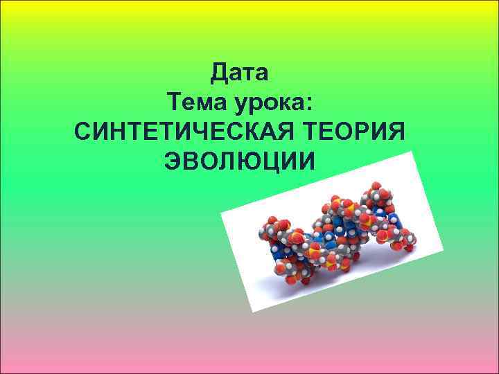 Дата Тема урока: СИНТЕТИЧЕСКАЯ ТЕОРИЯ ЭВОЛЮЦИИ 