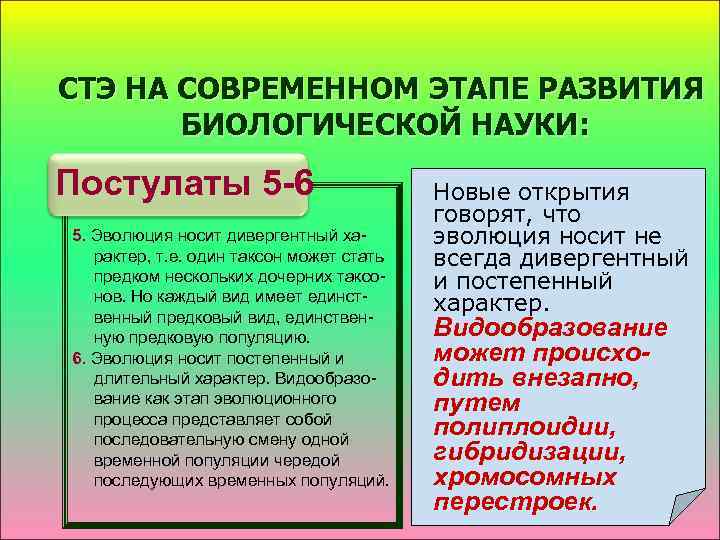 СТЭ НА СОВРЕМЕННОМ ЭТАПЕ РАЗВИТИЯ БИОЛОГИЧЕСКОЙ НАУКИ: Постулаты 5 -6 5. Эволюция носит дивергентный