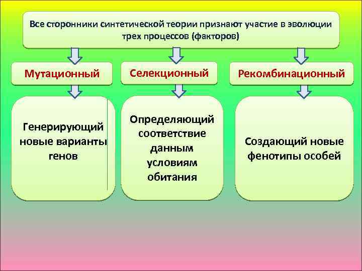 Презентация синтетическая теория эволюции 11 класс