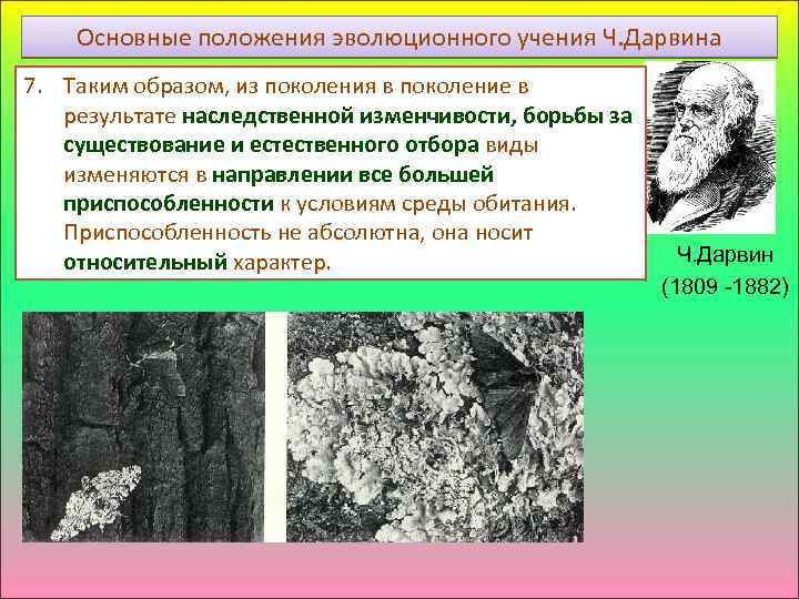 Основные положения эволюционного учения Ч. Дарвина 7. Таким образом, из поколения в поколение в