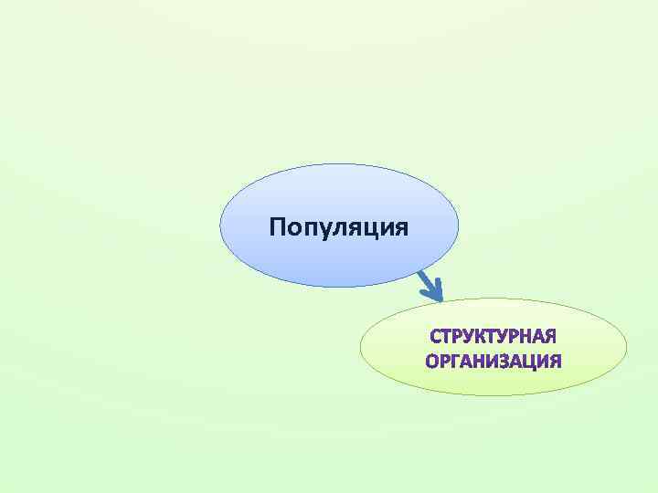 Популяция 