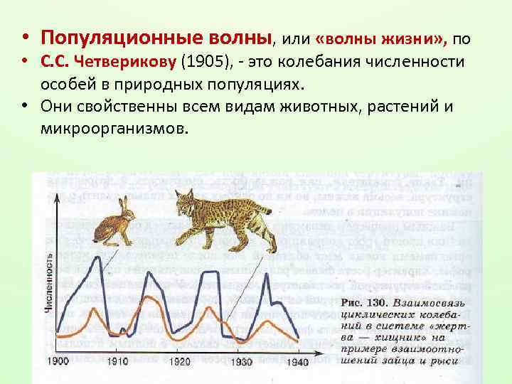  • Популяционные волны, или «волны жизни» , по • С. С. Четверикову (1905),