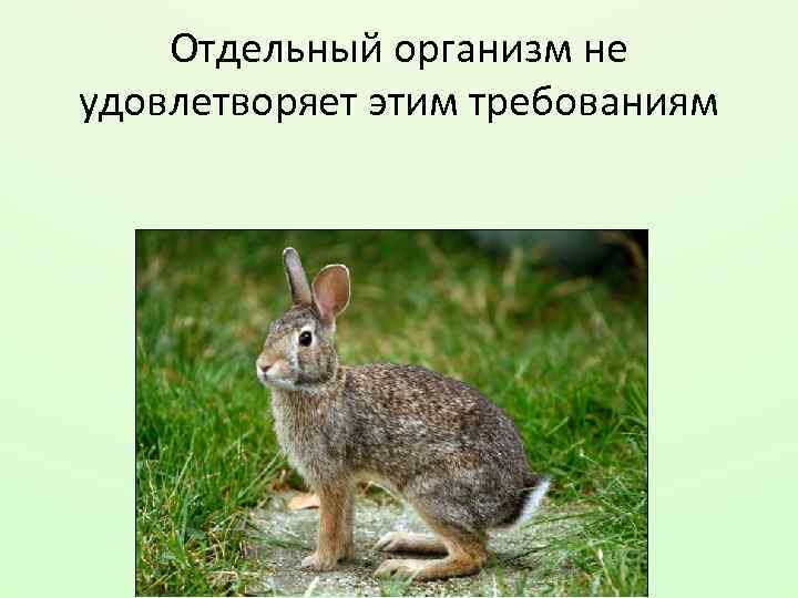 Отдельный организм не удовлетворяет этим требованиям 