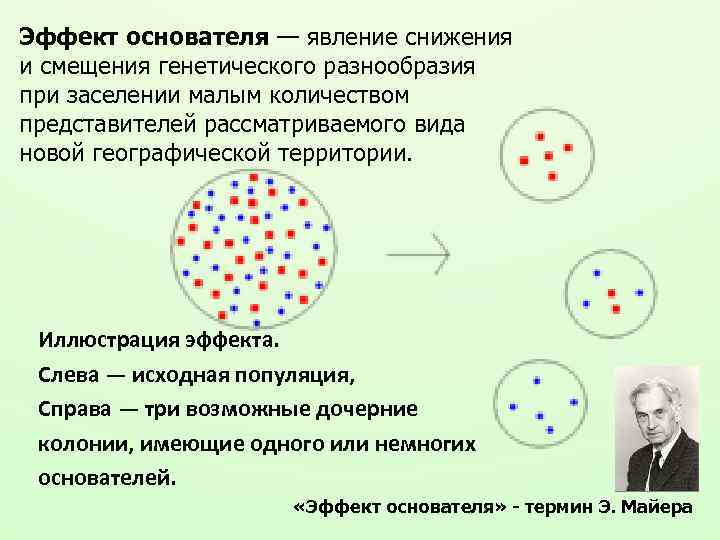 Эффект бутылочного