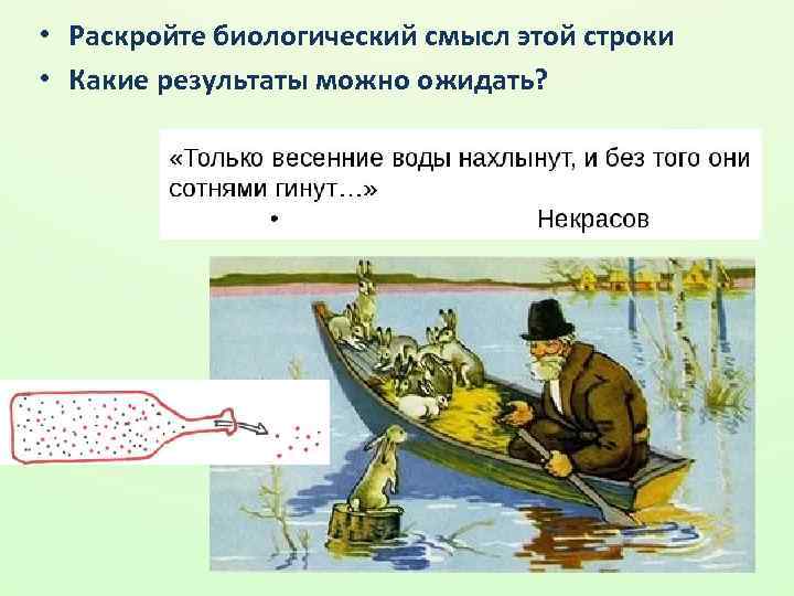 • Раскройте биологический смысл этой строки • Какие результаты можно ожидать? 