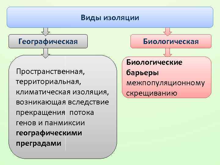 Типы изоляции в биологии схема