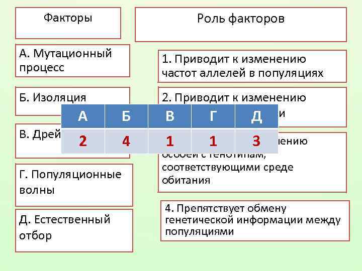 Факторы Роль факторов А. Мутационный процесс 1. Приводит к изменению частот аллелей в популяциях