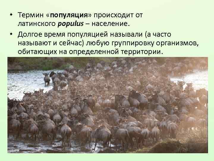  • Термин «популяция» происходит от латинского populus – население. • Долгое время популяцией
