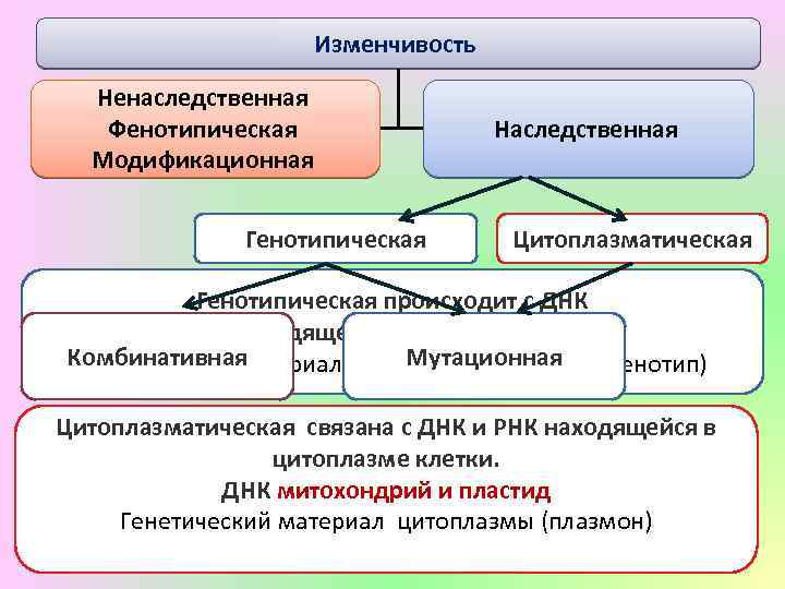 Схема типы изменчивости