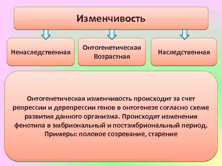 Сходства наследственной и ненаследственной изменчивости