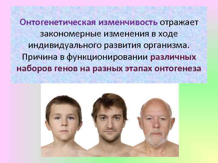 Онтогенетическая изменчивость отражает закономерные изменения в ходе индивидуального развития организма. Причина в функционировании различных