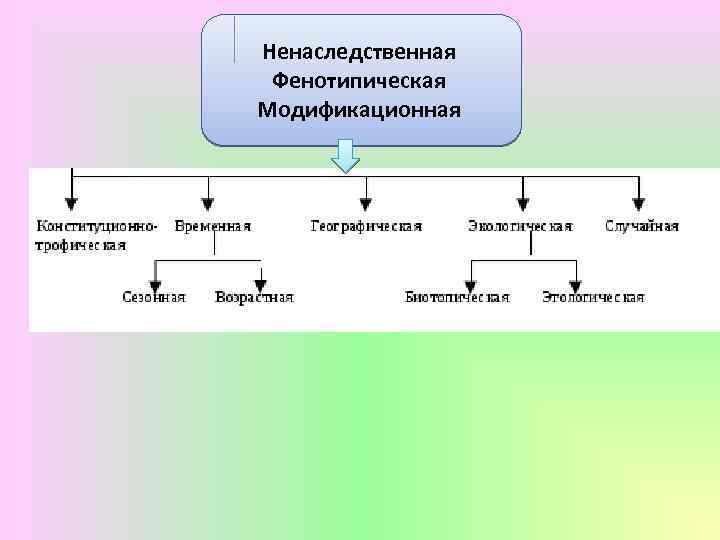 Ненаследственная Фенотипическая Модификационная 