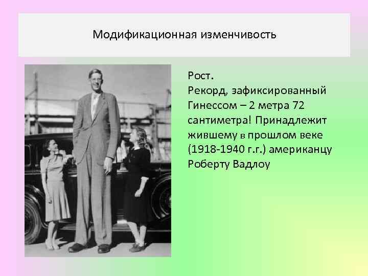 Модификационная изменчивость Рост. Рекорд, зафиксированный Гинессом – 2 метра 72 сантиметра! Принадлежит жившему в