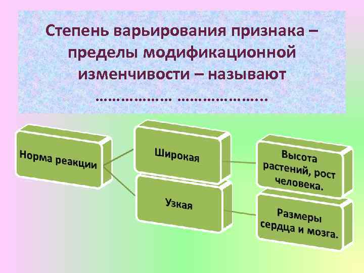 Степень варьирования признака – пределы модификационной изменчивости – называют ………………. . . 