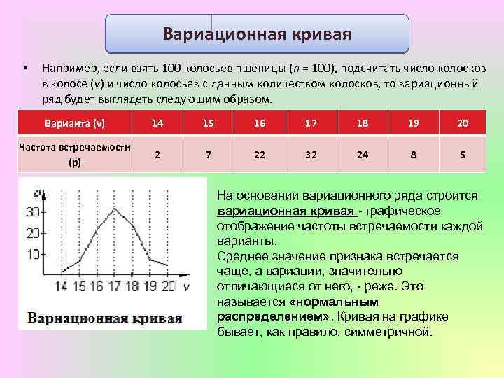 Вариационная кривая Вариационный ряд • Например, если взять 100 колосьев пшеницы (n = 100),