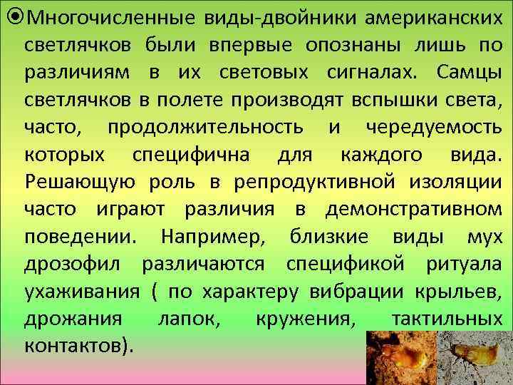  Многочисленные виды-двойники американских светлячков были впервые опознаны лишь по различиям в их световых