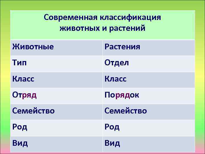 Современная классификация животных и растений Животные Растения Тип Отдел Класс Отряд Порядок Семейство Род