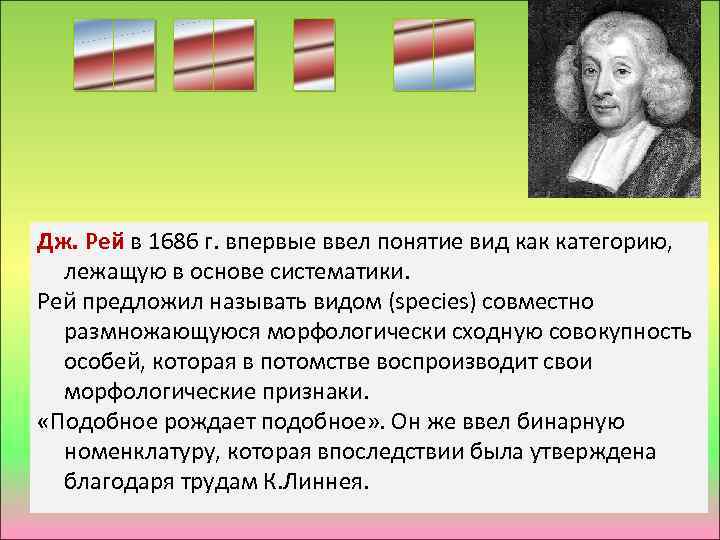 Дж. Рей в 1686 г. впервые ввел понятие вид как категорию, лежащую в основе