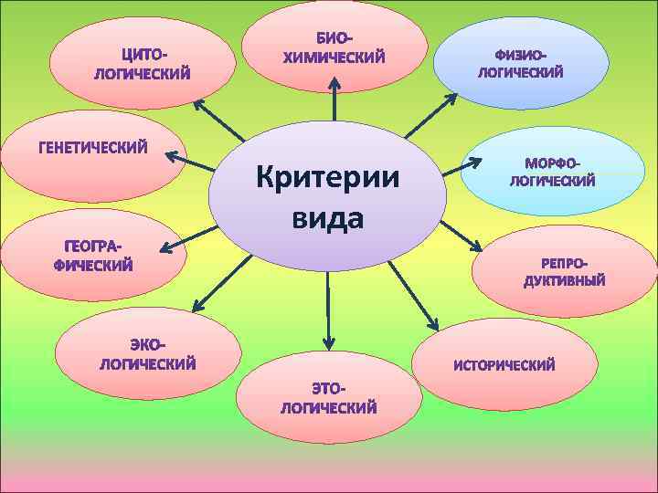 Критерии вида 