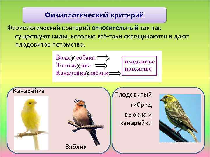 Физиологический критерий относительный так как существуют виды, которые всё-таки скрещиваются и дают плодовитое потомство.