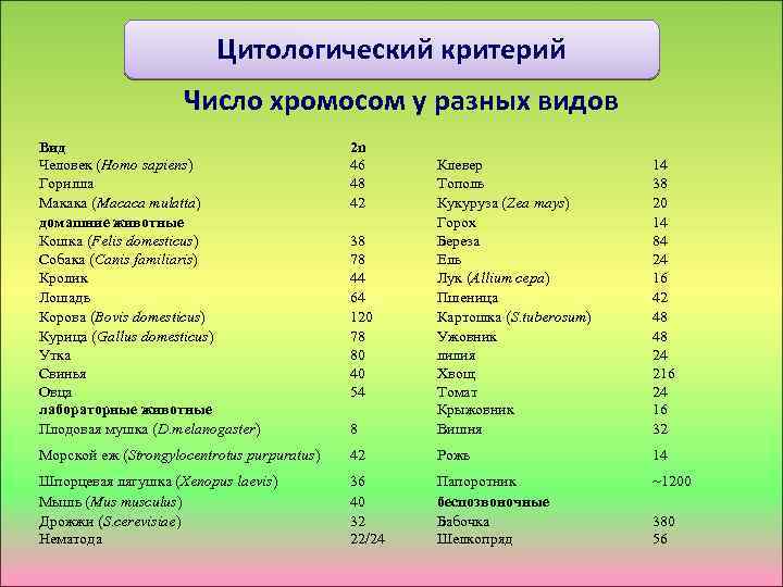 Цитологический критерий Число хромосом у разных видов Вид Человек (Homo sapiens) Горилла Макака (Macaca