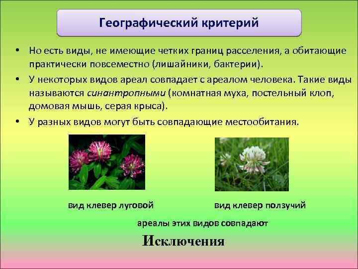 Географический критерий • Но есть виды, не имеющие четких границ расселения, а обитающие практически