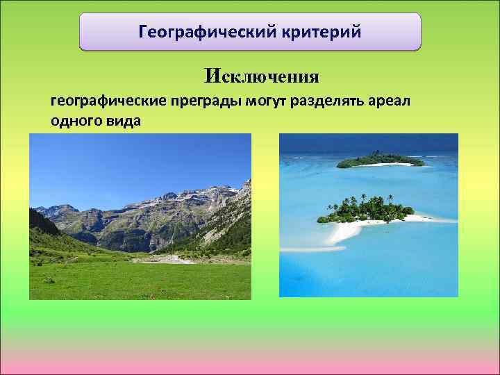 Географический критерий Исключения географические преграды могут разделять ареал одного вида 