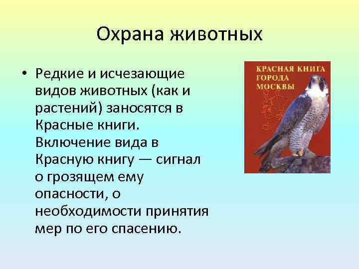 Включаясь какой вид. Охрана редких и вымирающих видов животных. Охрана редких и исчезающих видов животных и растений. Охрана редких и исчезающих видов растений. Редкие и исчезающие виды растений и животных.