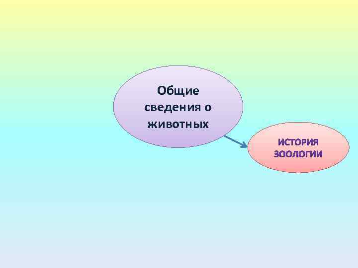 Общие сведения о животных 