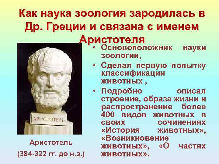 Как наука зоология зародилась в Др. Греции и связана с именем Аристотеля • Основоположник
