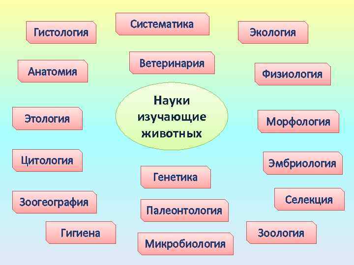 Гистология Анатомия Этология Систематика Ветеринария Науки изучающие животных Цитология Генетика Зоогеография Гигиена Палеонтология Микробиология