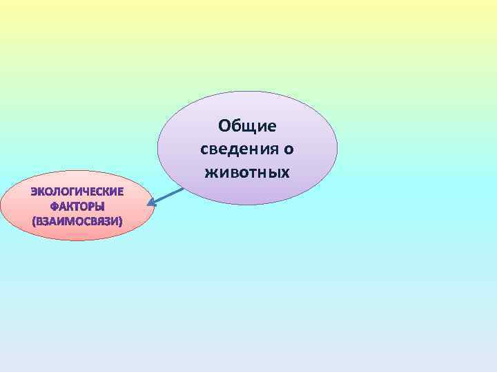 Общие сведения о животных 