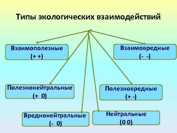 Основные типы экологических взаимодействий презентация 11 класс