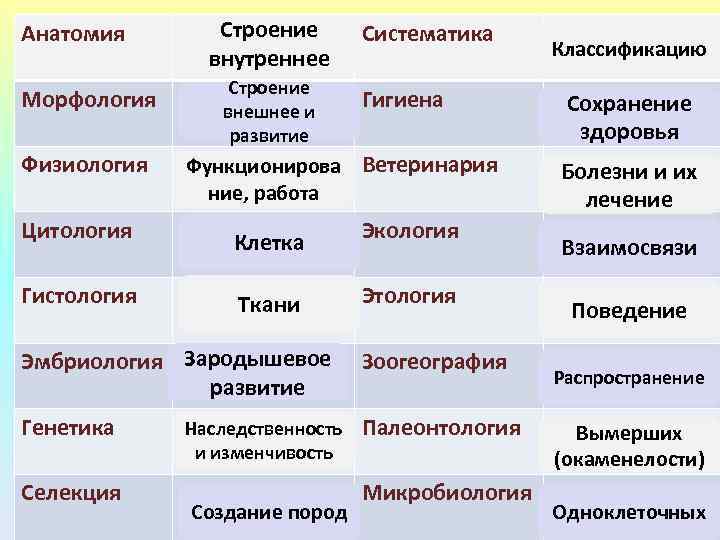 Чем отличается биологическая