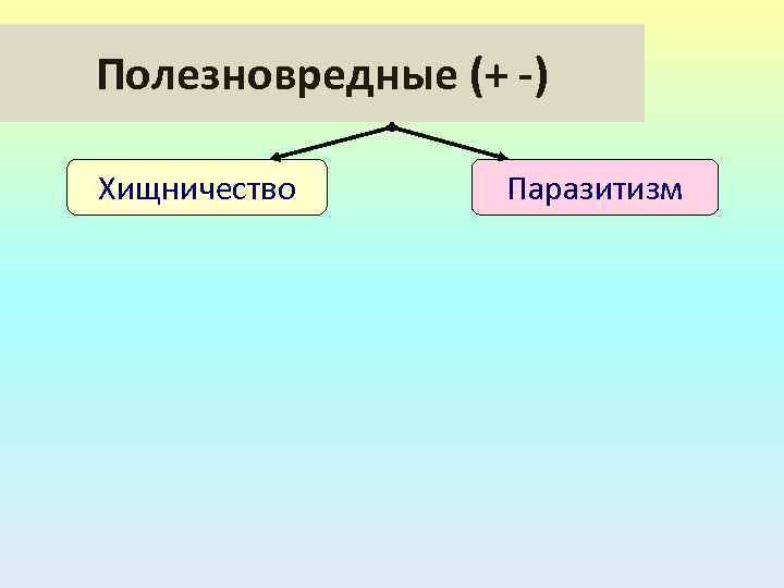 Полезновредные (+ -) Хищничество Паразитизм 