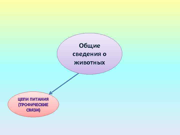Общие сведения о животных 