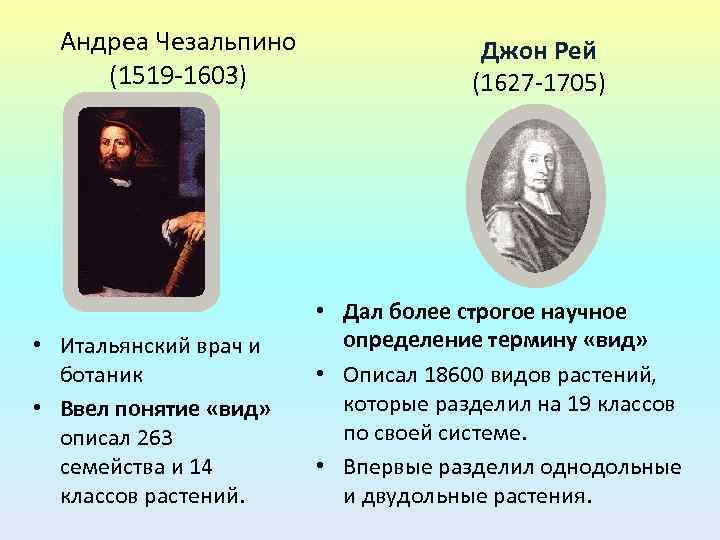 Андреа Чезальпино (1519 -1603) • Итальянский врач и ботаник • Ввел понятие «вид» описал