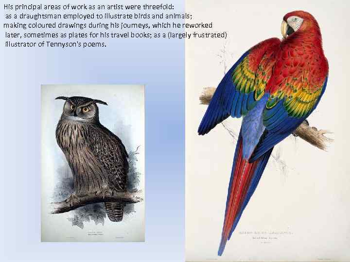 His principal areas of work as an artist were threefold: as a draughtsman employed