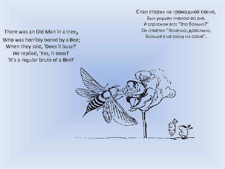 Спал старик на громадной сосне, , There was an Old Man in a tree