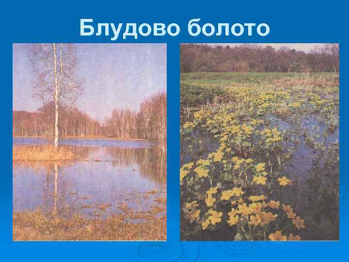 Блудово болото 