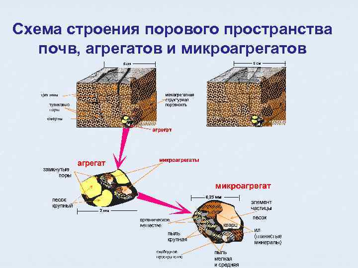 Схема строения порового пространства почв, агрегатов и микроагрегатов 