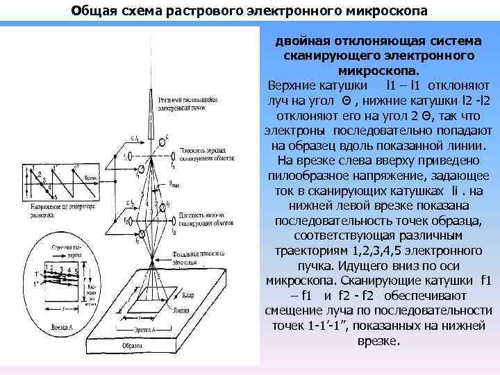 Принципиальная схема растрового сканирующего электронного микроскопа при работе в режиме рма