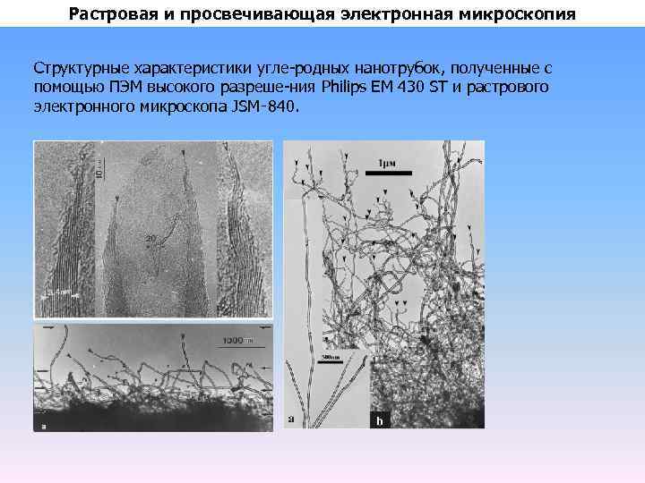 Растровая и просвечивающая электронная микроскопия Структурные характеристики угле родных нанотрубок, полученные с помощью ПЭМ