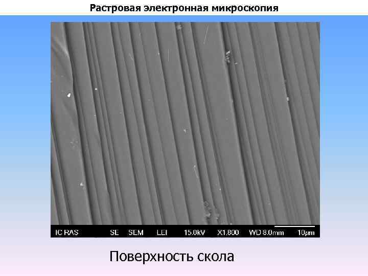 Растровая электронная микроскопия Поверхность скола 