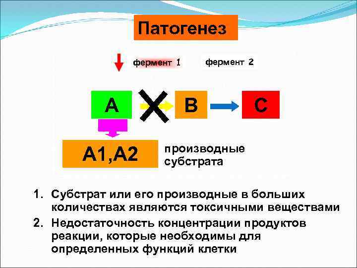 Патогенез фермент 2 фермент 1 А А 1, А 2 В С производные субстрата